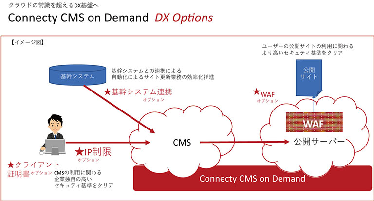 Connecty CMS on Demand  DX Options