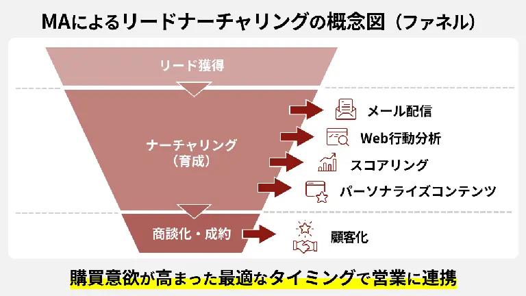 獲得したリードをMAで育成し、意欲が高まった状態で営業に引き渡すプロセスの図解